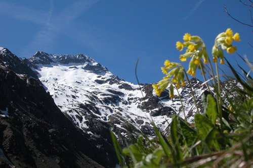 The south-east Alps - Mercantour/Alpi Marittime.