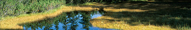 Fotogalerie - hier klicken